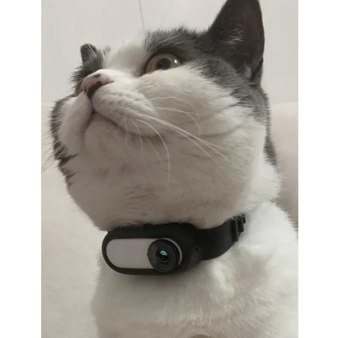 Gadgets Extravaganza